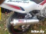 Yamaha YZF1000 photo 2