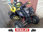 Suzuki QuadSport photo 1