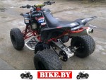 Suzuki QuadSport photo 4