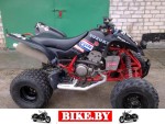 Suzuki QuadSport photo 6