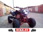 Suzuki QuadSport photo