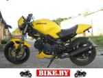 Ducati Monster photo 2