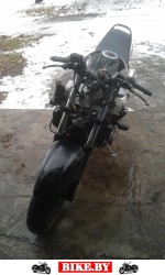 Kawasaki ZZR photo 6