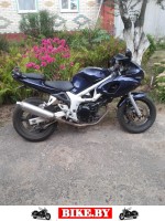 Suzuki SV photo