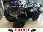 Yamaha Grizzly photo