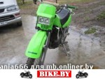 Kawasaki KLR photo